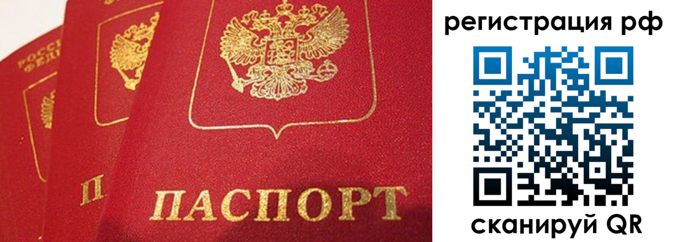 прописка поиск в Кеми
